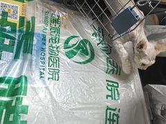 -瑞派宠物医院·24h·骨外科·皮肤科·全科宠物医疗转诊中心(沈阳浑南院)