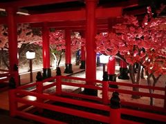 -蓝鲸湾汤泉(包河店)