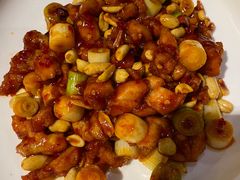 -大鸭梨烤鸭店(花园村店)