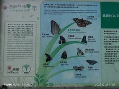 -南丫岛