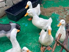 -HERRE·FARM 赫尔露营农场·团建聚会包场