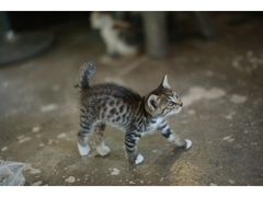 -行人小筑·茶馆(岑村火炉山分店)