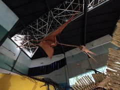 -湖南省地质博物馆