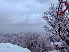 -崂山巨峰游览区