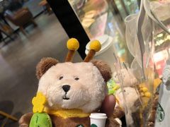 -星巴克(常德友阿国际广场店)