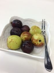 香格俪莱(仁恒店)-CARR SALON