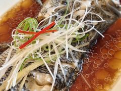 -骏莱海鲜鱼港(五角场店)