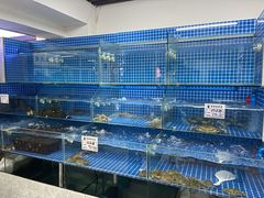 -云南巷海鲜大咖·可加工海鲜