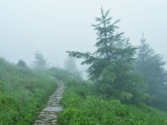 -驼梁风景区