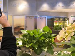 -楚太子  中餐&烧烤(武大店)