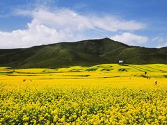 -扁都口生态休闲旅游区