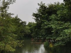 -西溪国家湿地公园