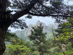 -崂山仰口游览区