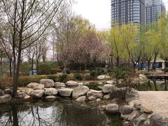 -郑东新区湿地公园