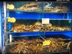 -蚝专家(北滘店)