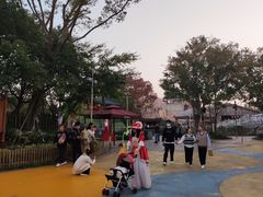 -合肥融创乐园