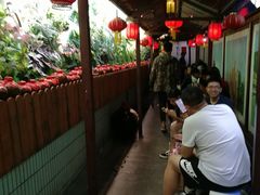 -窄巷子陕菜馆·地道陕西菜(粉巷店)