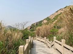 -洋山深水港