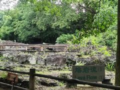 -海口火山口国家地质公园