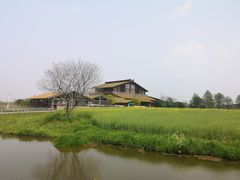-宁波杭州湾国家湿地公园
