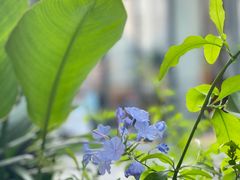 -沿途四季·云南菜·诗酒茶(蓝色港湾店)