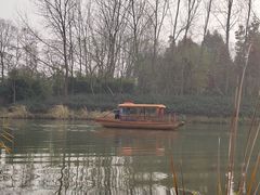 -溱湖国家湿地公园