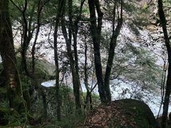 -炎陵县神农谷国家森林公园
