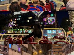 -Big Bus Tours 敞篷观光巴士