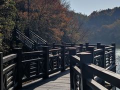 -白马涧龙池景区