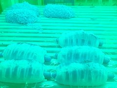 -味多美蛋糕(六里桥店)