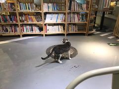-小时光咖啡馆(开森度假森林店)