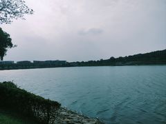 -羊山湖公园