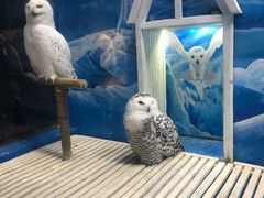 -成都浩海立方海洋公园