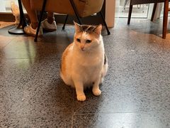 -黑胶星球(华发中城商都店)