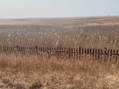 -野鸭湖国家湿地公园