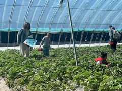 -瑞思少儿中心·少儿英语素养启蒙(勒泰直营校区)