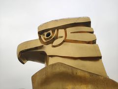 -大金鹰园