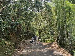 -紫云谷景区