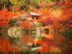 -醍醐寺