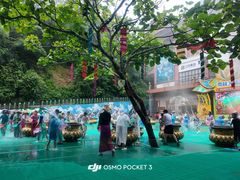 -西双版纳原始森林公园