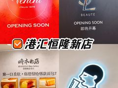 -港汇恒隆广场