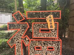 -天目湖山水园