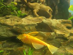 -太平洋海底世界