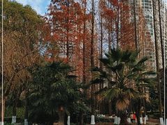 -苏州河梦清园环保主题公园