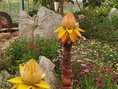 -南通洲际绿博园