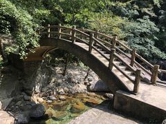 -花岩国家森林公园