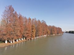-嘉北郊野公园
