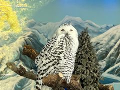 -北京野生动物园