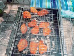 -顺鑫绿色度假村