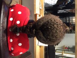 小左美发(五角场店)-小左沙龙